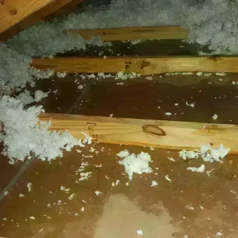 Attic Water Damage in McLeansville, NC